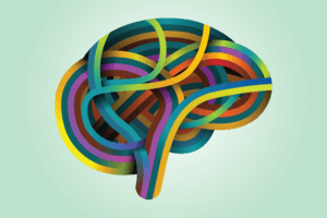 theory of mind autism connection in brain
