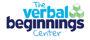 VB Center Logo VB Center Logo